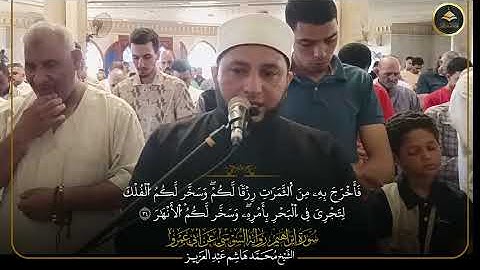 برواية السوسي عن أبي عمرو ما تيسر من سورة إبراهيم الشيخ محمد هاشم عبد العزيز 