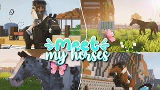 MEET MY HORSES || My Minecraft SWEM Horses