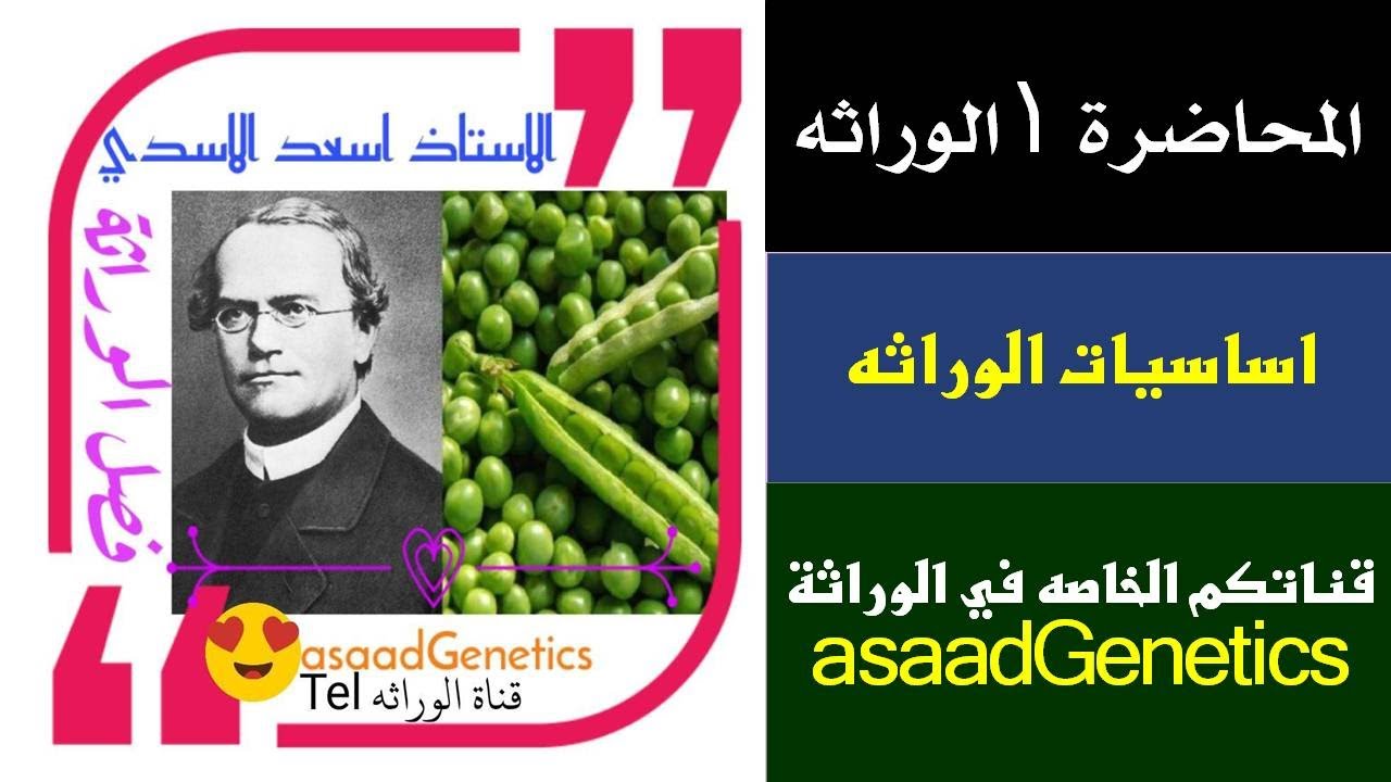 الوراثه احياء السادس الاحيائي/المحاضره ١ / الاستاذ اسعد الاسدي