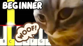 a DOG BARKS Chipi Chipi Chapa Chapa - Fast and Slow (Easy) Piano Tutorial - Beginner