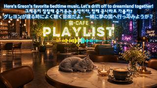 ☕ Bliss Melody Music Cafe Playlist 08