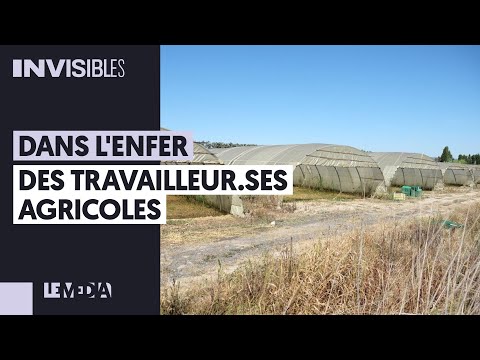 DANS L’ENFER DES TRAVAILLEUR.SES AGRICOLES