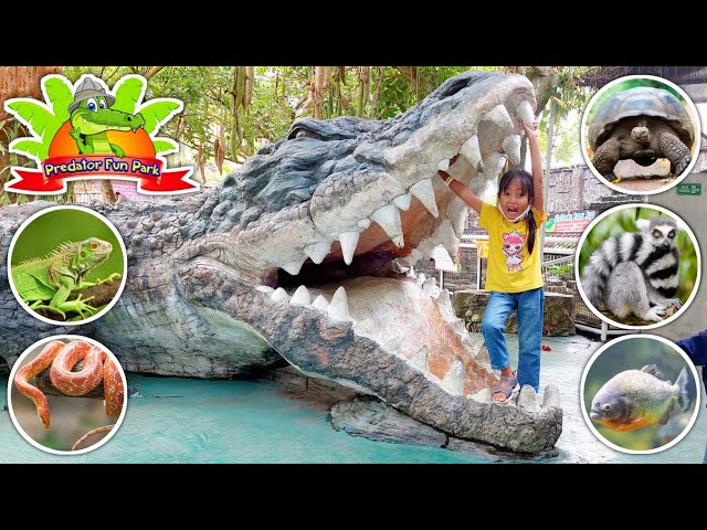 Awas Ada Buaya raksasa‼️Serunya Belajar Mengenal Hewan di Predator Fun Park Batu Malang class=