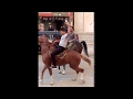 رقص على مزمار عبد السلام بالخيول شارع احمد عنبر طهطا لا تفوتك المشاهده رقص على مزمار عبد السلام بالخيول شارع احمد عنبر طهطا لا تفوتك المشاهده