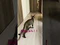 お帰り〜 待ってたよ。