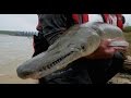 Web Extra! - Trinity River, Texas Alligator Gar