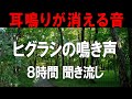 【耳鳴り治療音】耳鳴りに効果大 ヒグラシの鳴き声8時間聞き流し