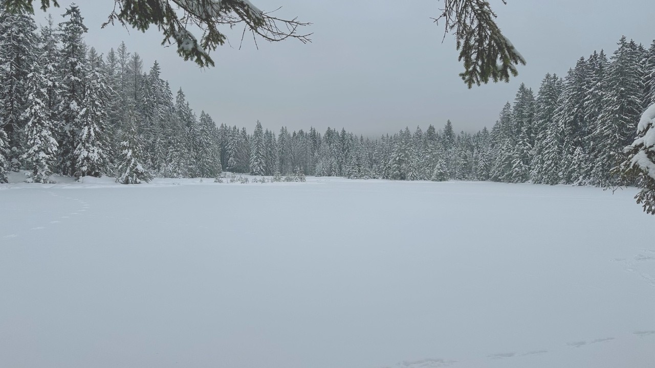🥾 Fichtelsee (Fichtelgebirge)