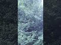 КОММУНАЛЬНАЯ КВАРТИРА#воробьиныйдом#лето2025#рекомендации