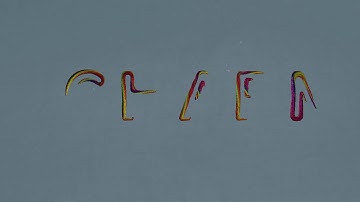 Cinema 4d spline name intro