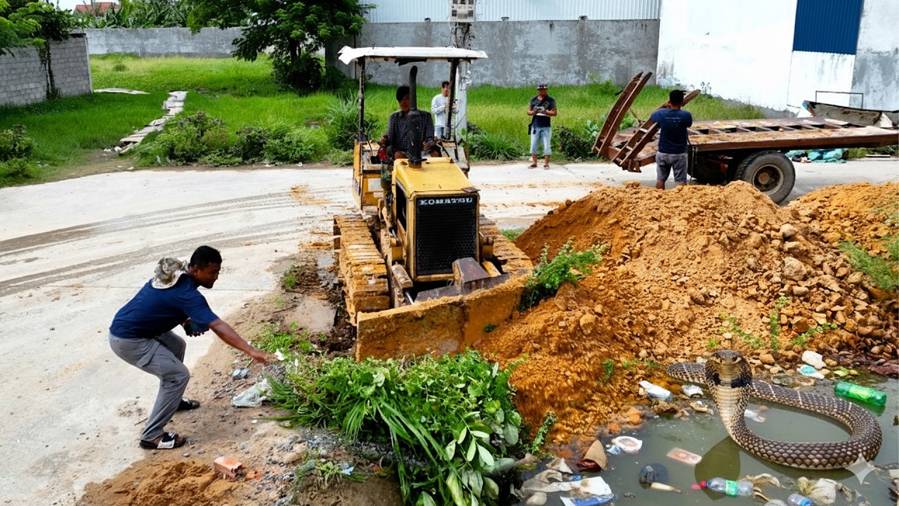 First Opening a New Project! Landfill On Flooded Area Using Skill Dozer D20A Pushing Soil with Truck