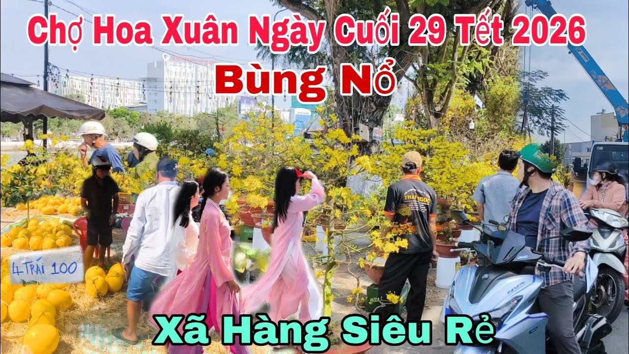Bùng Nổ Chợ Hoa Xuân Long Xuyên Ngày Cuối 29 Tết 2026. Xã Hàng Siêu Rẻ Ngay Lúc Này 