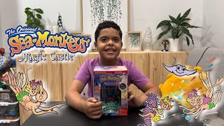 SEA MONKEYS! - The First 30 Days | The Original Sea Monkeys Magic Castle @TheOriginalSeaMonkeys