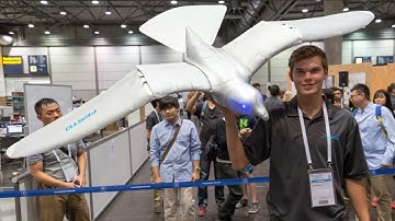 Boost Your Business with Top Software Solutions by Coders Lab