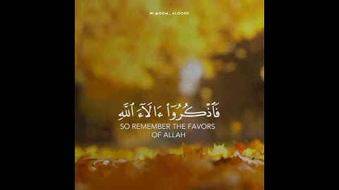 فَاذْكُرُوا آلَاءَ اللَّهِ لَعَلَّكُمْ تُفْلِحُونَ || القارئ رعد الكردي