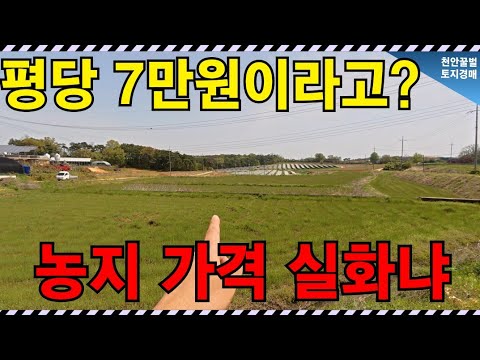 옆집은 이미 대박 났슈~ 13억 땅을 3억에 사서 태양광으로 뽕 뽑자