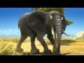 Leon 16 y elefantes discovery kids 360p
