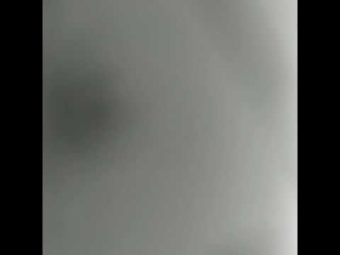 淚的小雨
