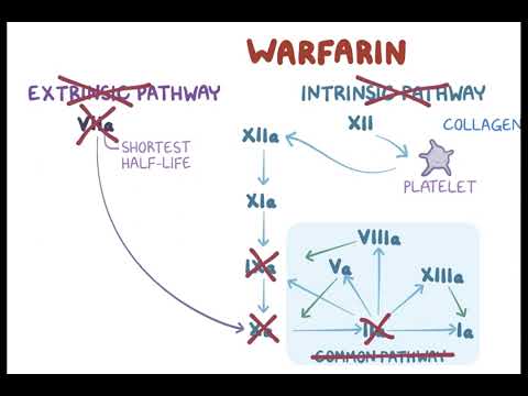 Vidéo: La warfarine a-t-elle été arrêtée ?