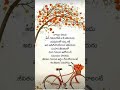 Beautiful Telugu Life Quote 🍁 | True Meaning of Life &amp; Happiness 💭