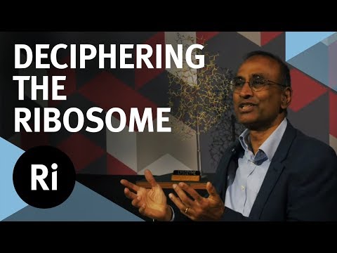 The Story of Deciphering the Ribosome - with Venki Ramakrishnan