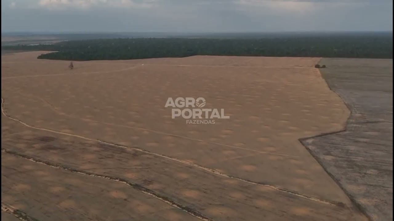 Fazenda de 715 ha (147 Alq) à venda em Paragominas com 90% de Abertura