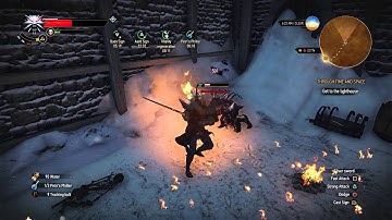 The Witcher 3 - Through Time And Space: Find The Next Passage: Avoid Frost (Make it to Lighthouse)