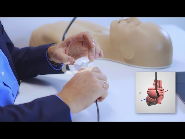 MrTEEmothy&reg; Standard Simulator f&uuml;r trans&ouml;sophageale Echokardiographie, 1022128, Echokardiographie (Video)