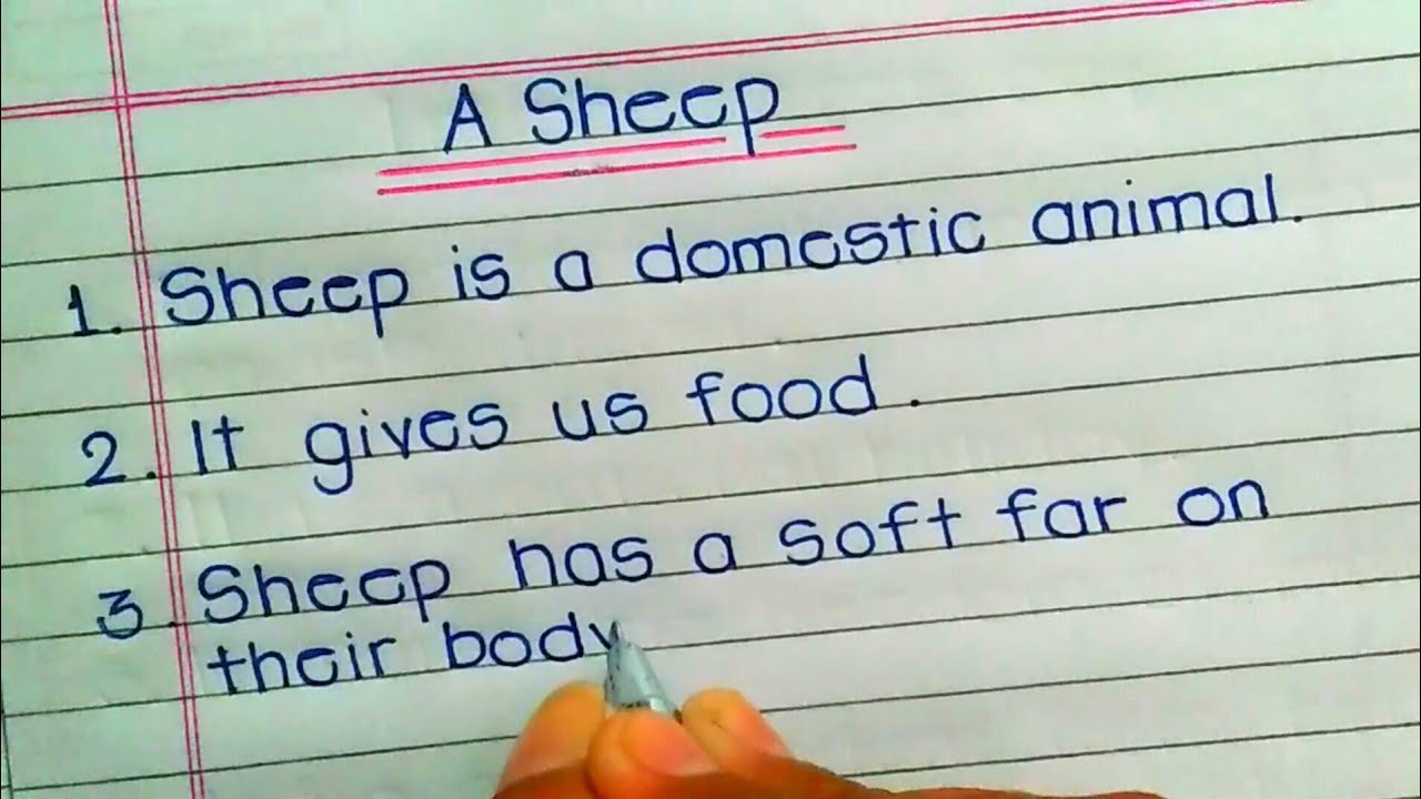 sheep essay in english 10 lines