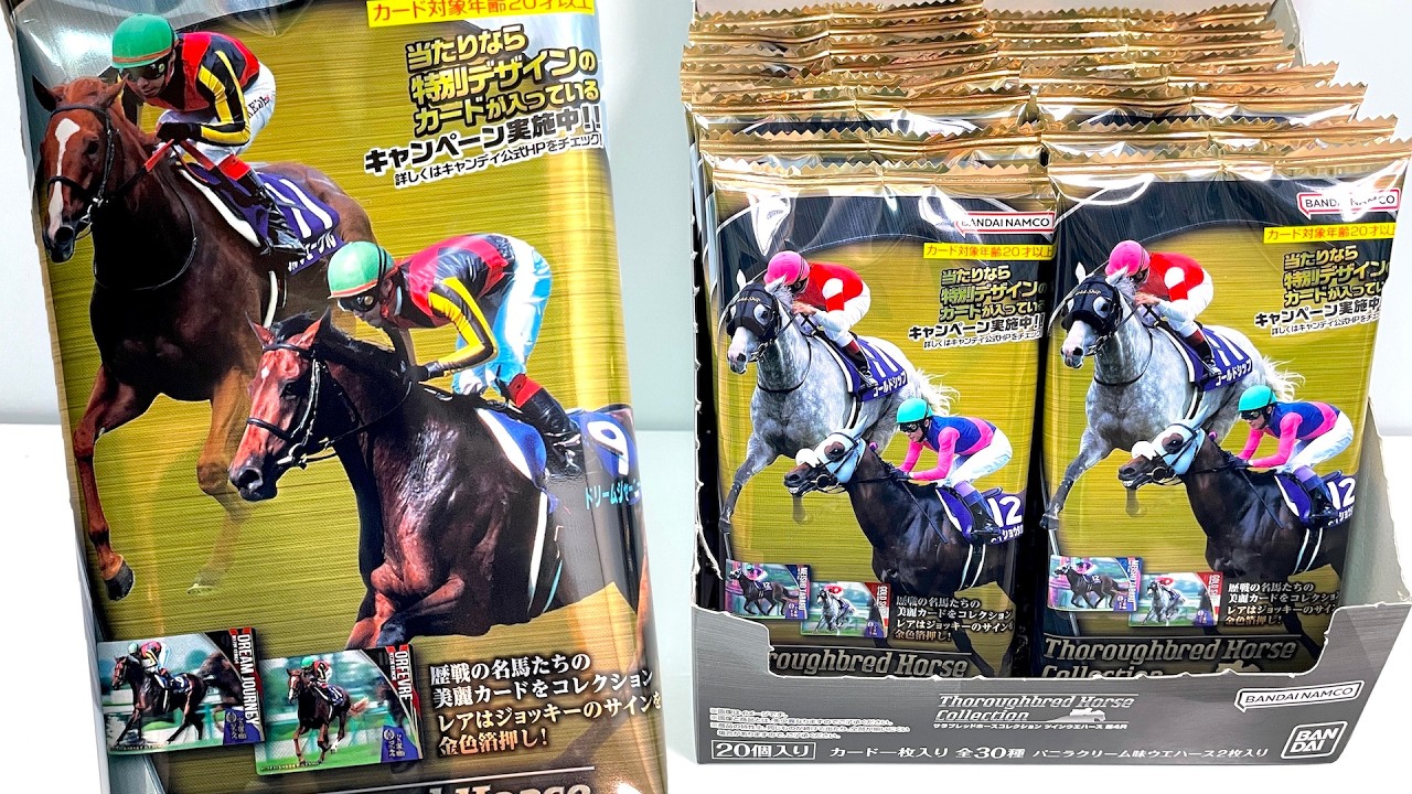 Thoroughbred Horse Collection Twin Wafers Race 4 
