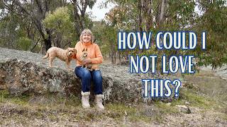 6. The Season I Wish Would Stay - Wildlife, Wattles & Wonder