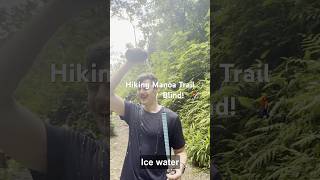 Hiking In Hawaii Blind! 👨‍🦯 @BlindRossMinor