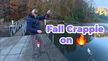 Raw and Uncut Dock Fishing for Crappie, Best Trip Yet