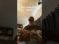 5 String Banjo D minor Lick