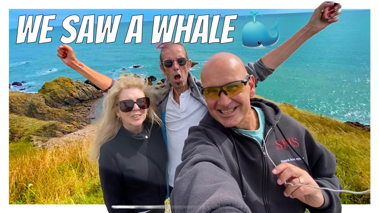 We saw a whale at St Cyrus | Sunset Photos | Johnshaven Lobster stroll