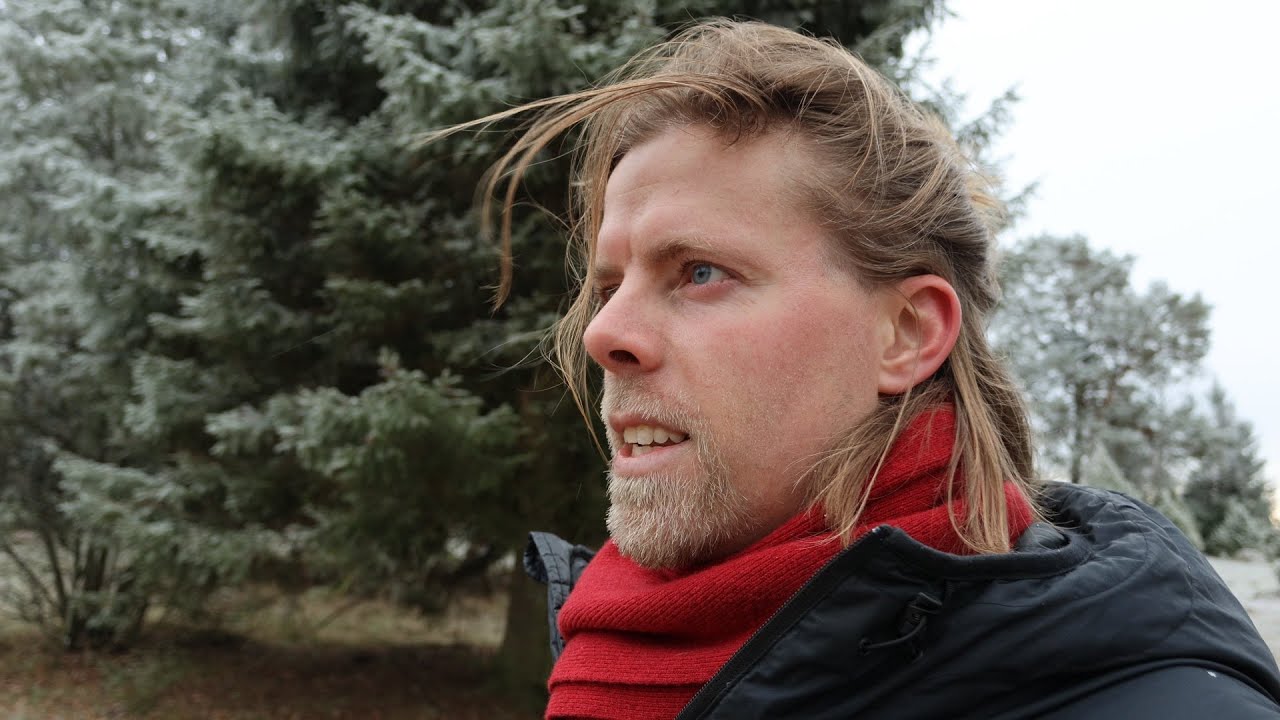 Вы — душа. У вас есть разум и тело.