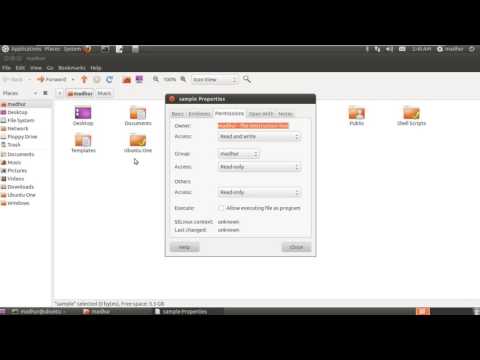 Shell Scripting Tutorial 8  File Permissions