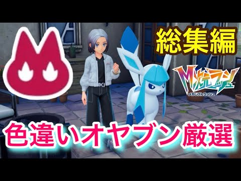 グレイシアとシャワーズ　オマケ付き！ グレイシア ex & シャワーズ ex SARセット 【公式通販】