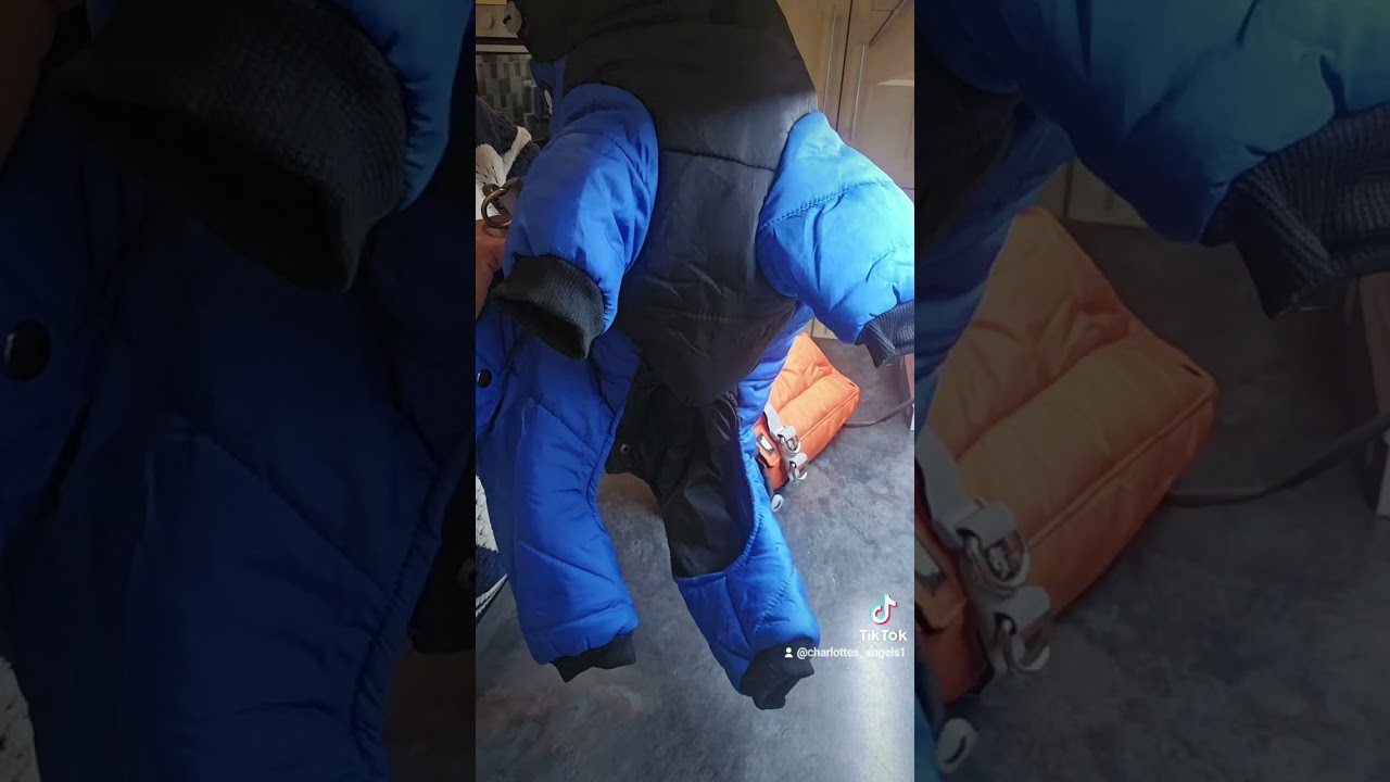 Dog coat review: affordable and easy-to-use