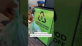 (Haitian Creole Subtitles) Composting with Project Oscar