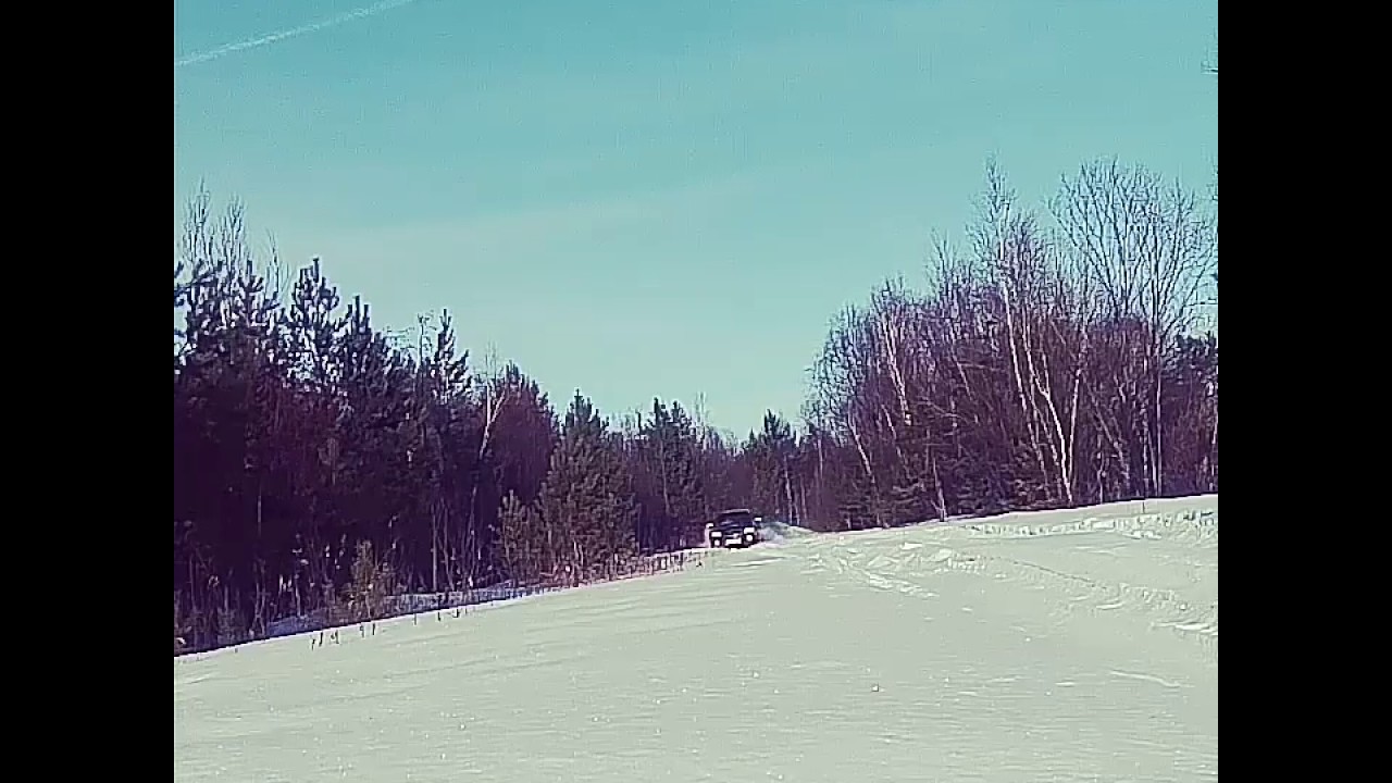 Форик в лесу