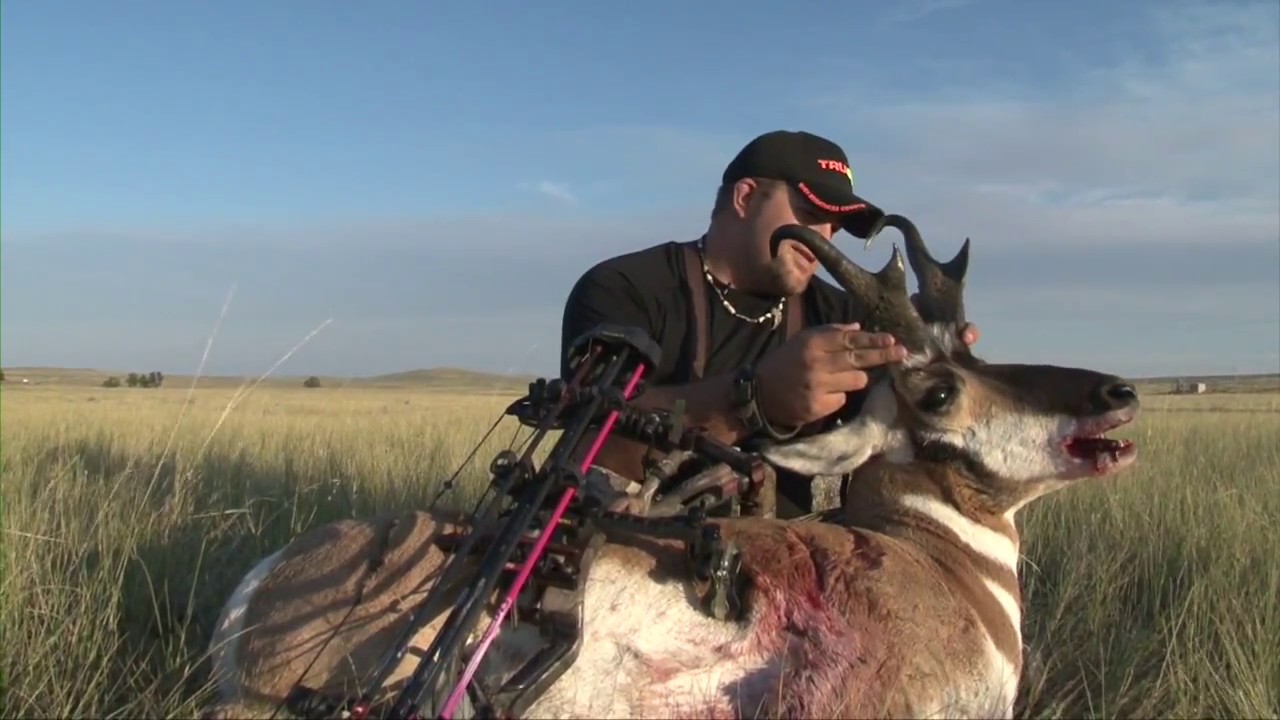 Wyoming Antelope from a Ground Blind YouTube