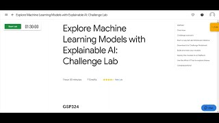 Explore Machine Learning Models with Explainable AI: Challenge Lab