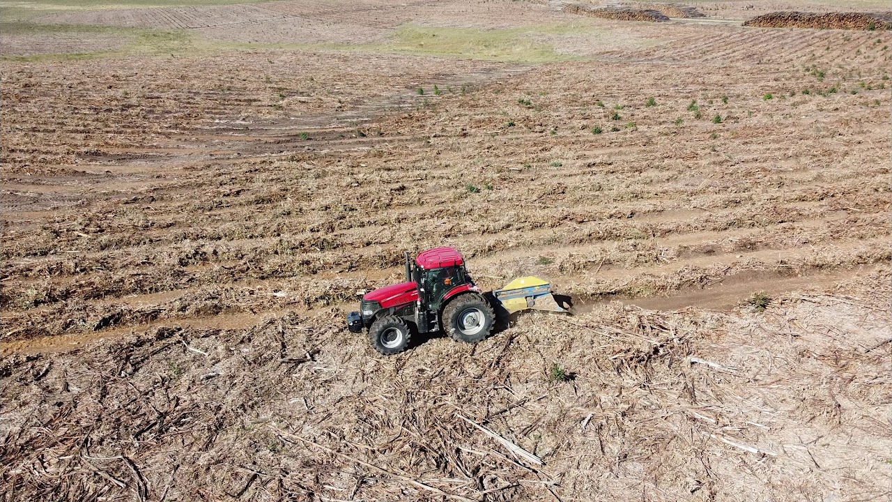 Puma 200 forestal, Uruguay