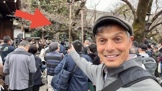 All of JAPAN is watching THIS TREE!