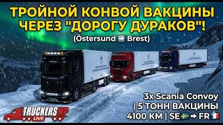 TruckersMP LIVE: Спасаем Францию! 3 тягача, срочный груз и хаос на C-D трассе 🚨