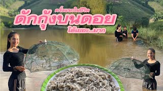 The way of life of Doi people ep.181 For the first time in life, a lot of shrimp traps.