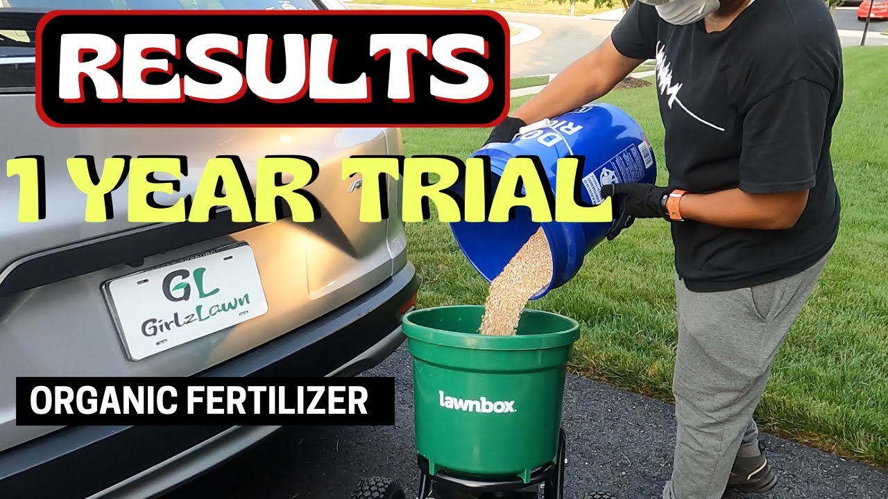 LawnBox Review After One Year of Use | Organic Lawn Fertilizer
