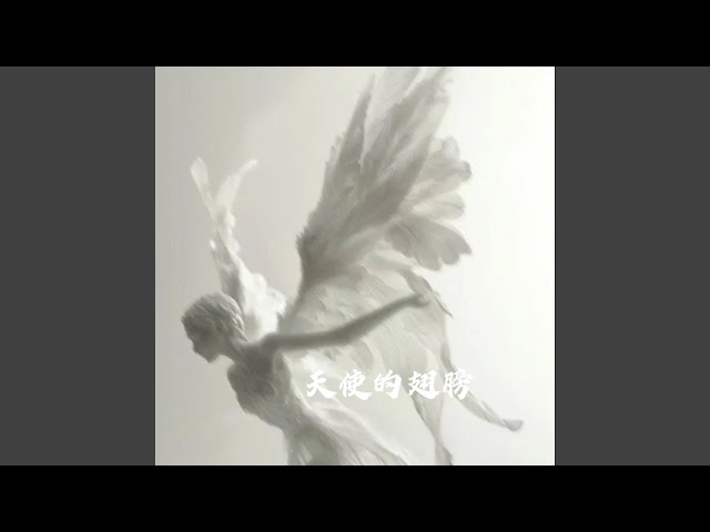 天使的翅膀 (R&B微醺版)
