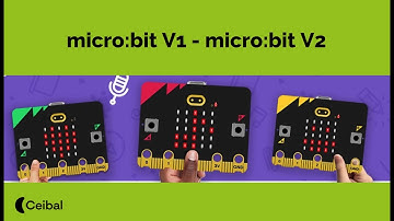 Programá con tu microbit V1 o V2